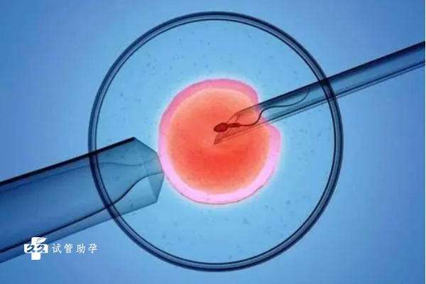 试管放胚胎的时间是什么时候？如何放比较好？