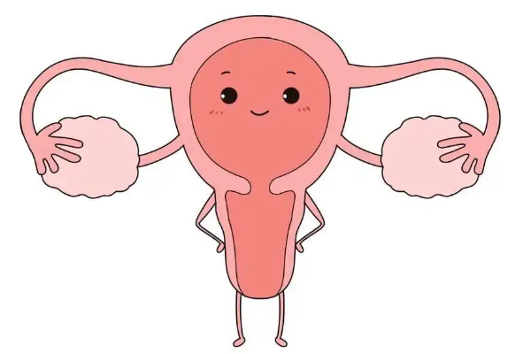 试管子宫内膜分离如何操作，这几点注意事项不要忽视