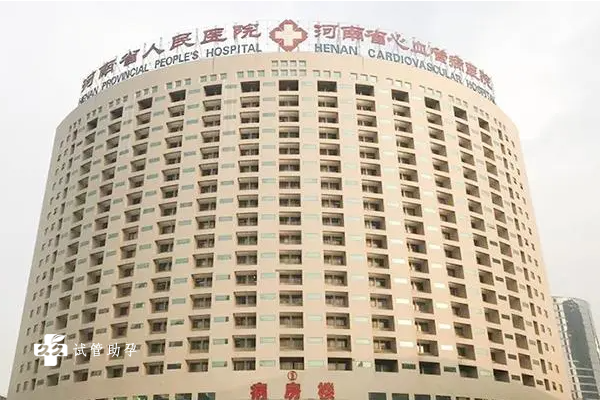 河南省人民医院试管成功率是多少？怎么提高成功率？