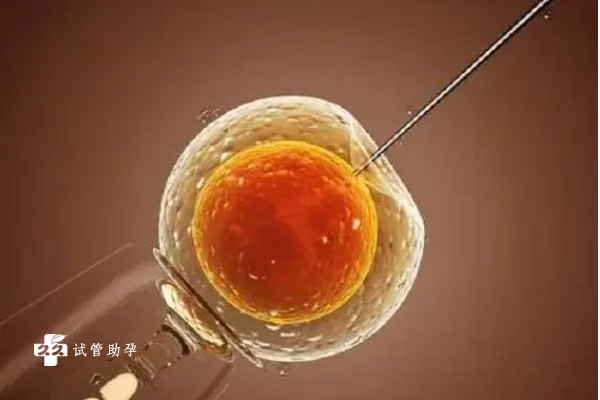 做完试管就上班可行吗，注意劳逸结合才能防止胚胎受到影响
