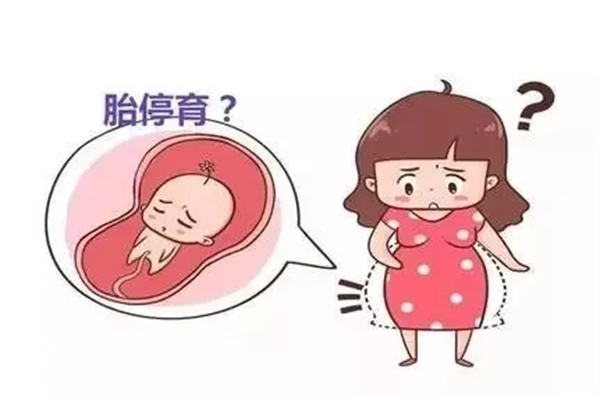 做试管婴儿为什么会胎停育，告诉你正确的应对措施