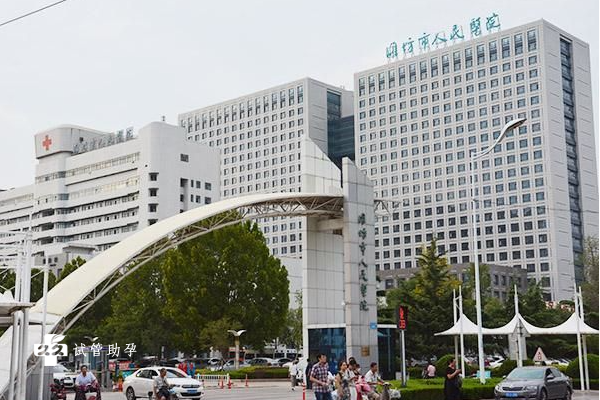 潍坊人民医院试管婴儿技术如何？成功率高吗？