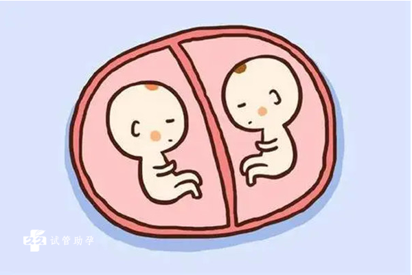 试管单胎和双胞胎有什么不同，选择的时候要考虑这些因素