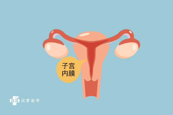 做试管取出子宫内膜后要做什么，是否适合移植需要重新检测
