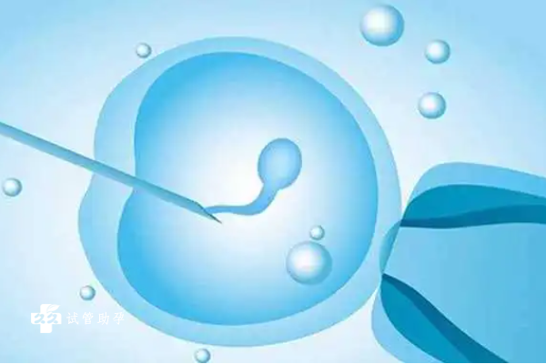 试管婴儿取卵流程解读，从前期准备到移植需要经过这几步