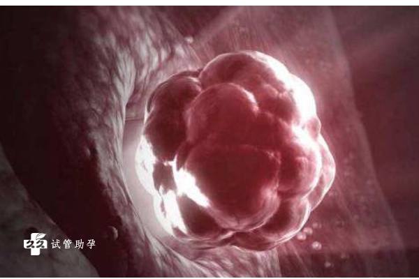 胚胎着床成功后有什么表现，出现这些情况及时就医