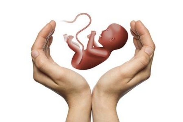 上海三代试管单胚胎移植优势是什么？风险是什么？