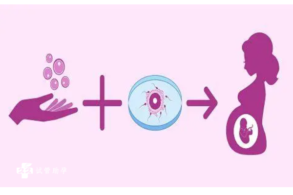 三代试管养囊胚技术是什么？流程是什么？