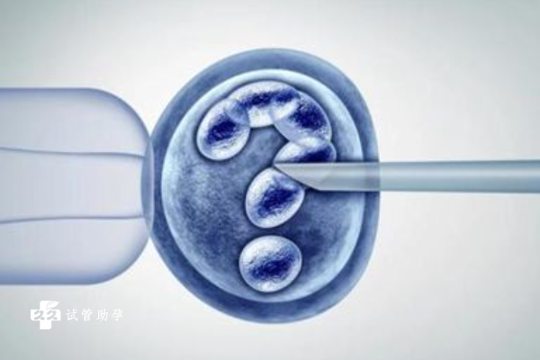 卵巢功能不佳在美国做三代试管能成功吗？成功率有多少？