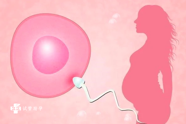 染色体易位做三代试管能成功吗？可以成功怀孕吗？