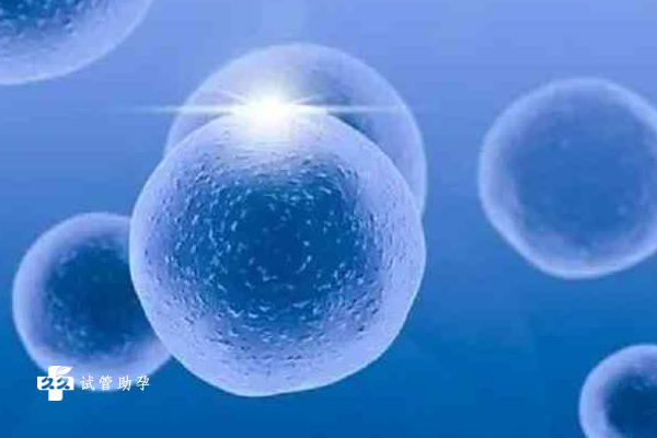 试管取卵时为什么要注意卵泡大小，均匀的卵泡大小能提高受孕率
