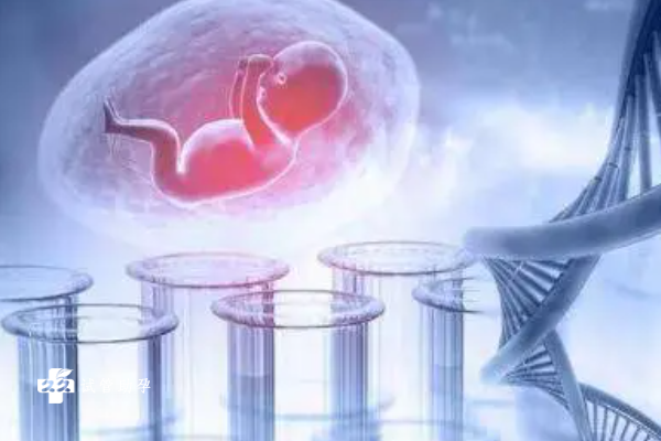 尿蛋白阳性能做试管胚胎移植吗？如何判断是否阳性？