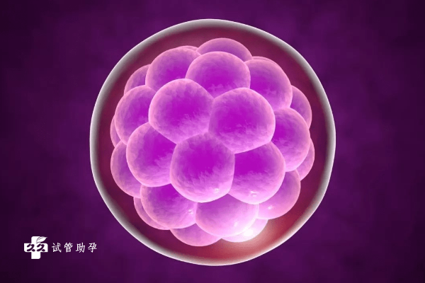 试管胚胎培养步骤介绍，总流程不超过四步