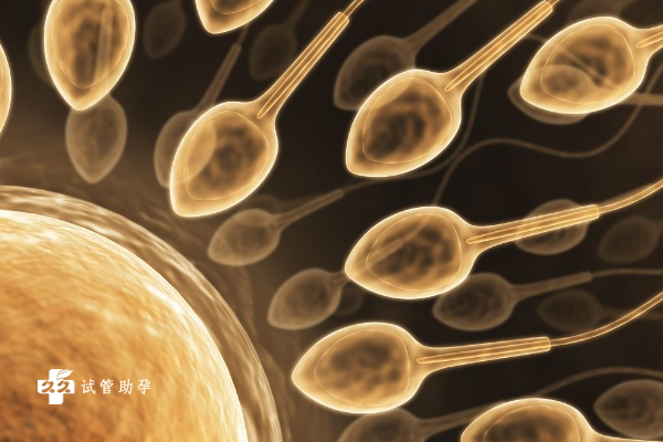 胚胎移植后外阴潮湿是什么原因？有什么影响？