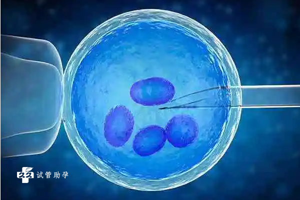 鲜胚移植21天后身体会有哪些症状，这些表现说明胚胎发育正常