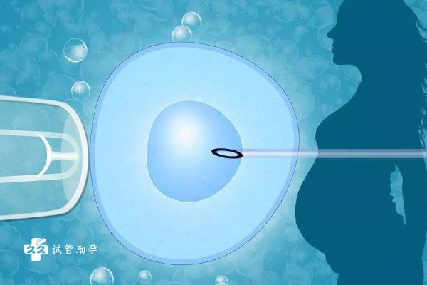 鲜胚移植有哪些常见症状，出现这些症状及时就医