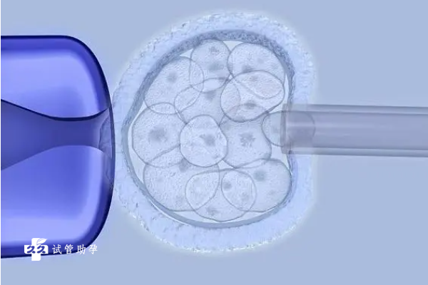 女性抗子宫内膜抗体阳性能做试管吗？做试管前要检查什么？