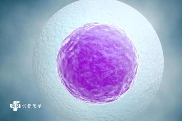 做试管婴儿为什么植入了两个受精卵只发育成功了一个？