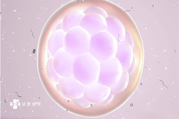 试管移植后胚胎长得慢怎么办，这些方法可以​促进胚胎发育