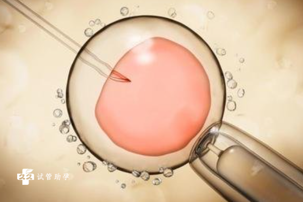 子宫内膜容受性差做试管移植可以成功吗？