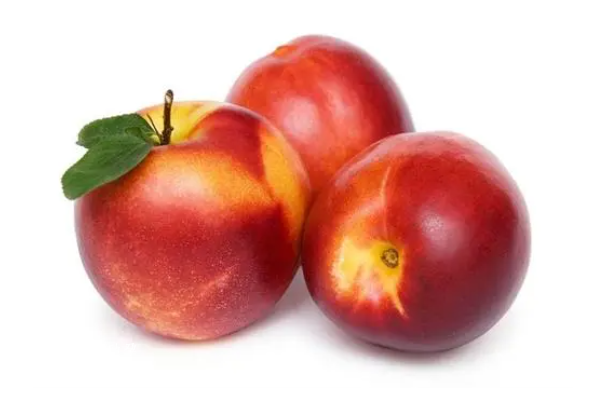 胚胎移植后适量吃油桃有好处，调节激素平衡是优点之一