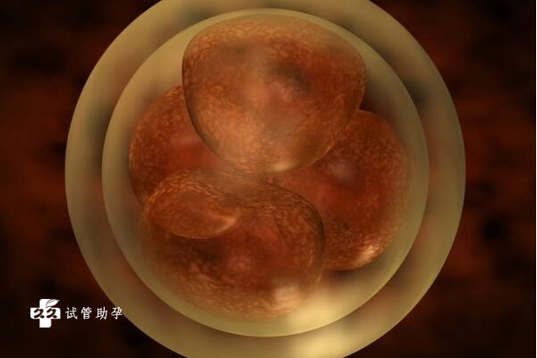 试管养囊和移植囊胚的风险介绍，准备养囊的人群速收藏