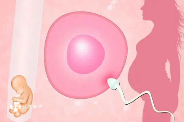 子宫内膜增生做试管婴儿可以成功生孩子吗？