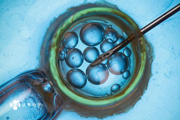 试管自然周期移植的条件是什么，内膜厚度会影响胚胎着床