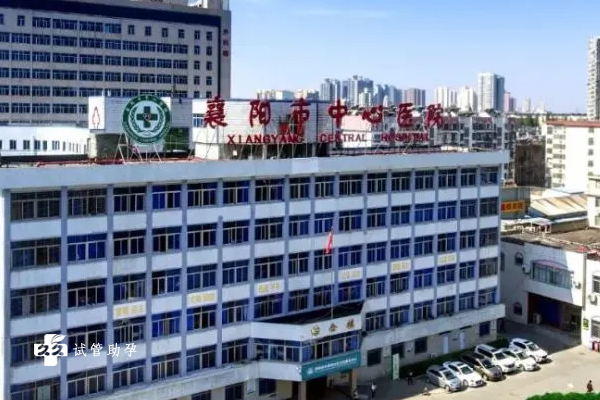 襄阳市中心医院试管婴儿费用明细，2024最新收费预估