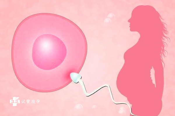 做试管放2个胚胎不一定能提高成功率，这些方法更有效果