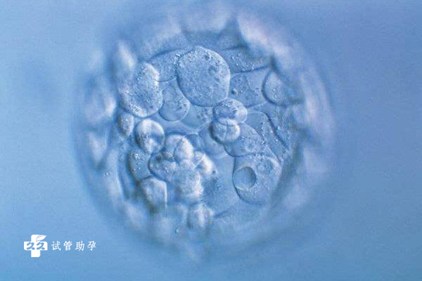 试管胚胎质量差如何解决，不妨试试三四级调整促排方案
