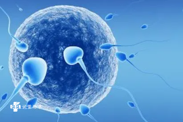 做试管移植一级胚胎失败了怎么办？原因是什么？
