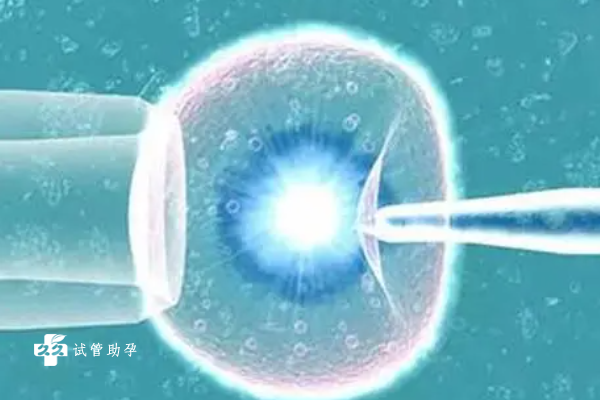 胚胎移植成功的征兆盘点，出现这些症状可能说明已受孕