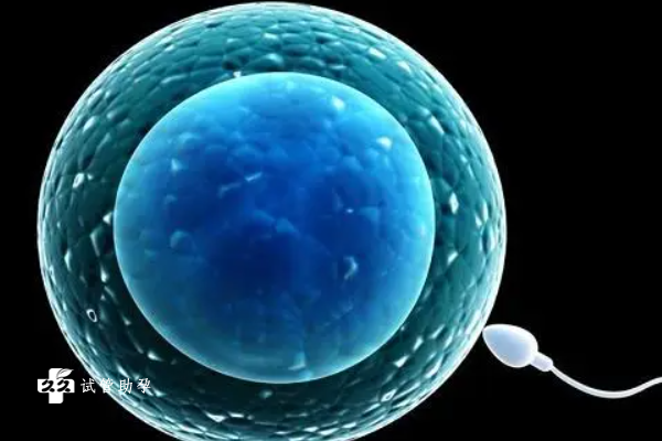 做三代试管时放置多少个胚胎比较好？