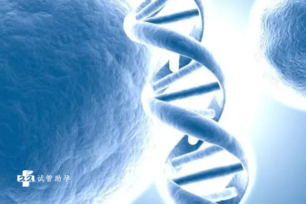 试管婴儿基因检测的作用是什么？