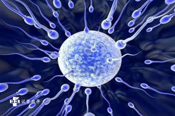 一代试管婴儿技术筛选精子的指标是什么？