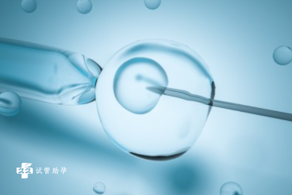 试管婴儿移植囊胚要经过哪些步骤？