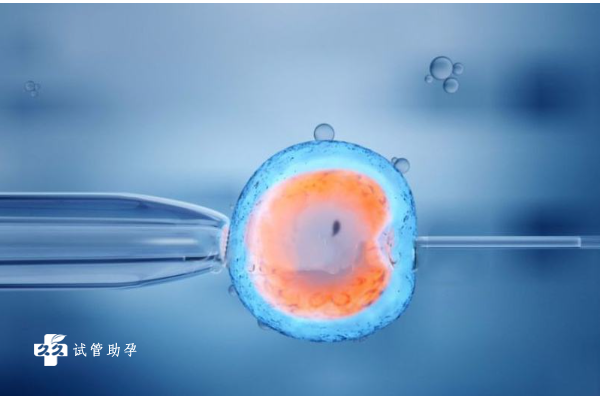 囊胚移植第三天晚上身体会有哪些反应？