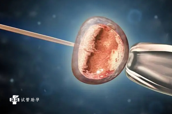 提高冻胚移植成功率的方法是什么？