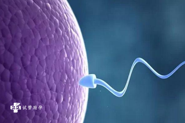 女性输卵管炎症可以做试管婴儿怀孕吗？