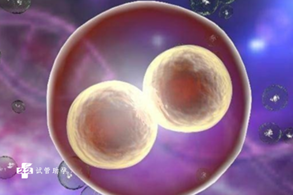 鲜胚移植成功的十大征兆汇总，来看看自己是否成功受孕