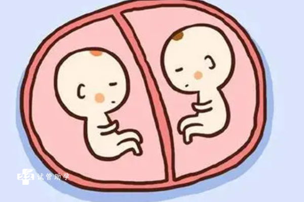 试管婴儿生双胞胎的优缺点解读，健康风险和经济负担提前了解