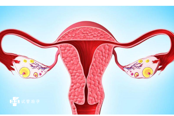 经常跳绳可以提高女性的卵巢功能吗？