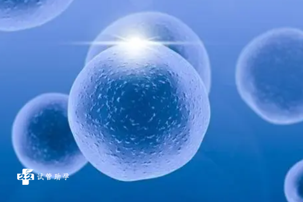 试管囊胚移植有这些条件，囊胚发育情况和子宫内膜都很重要