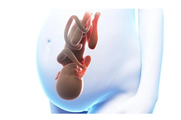 囊胚移植4天后孕酮和雌二醇的变化介绍，数值达到这个数就是着床了