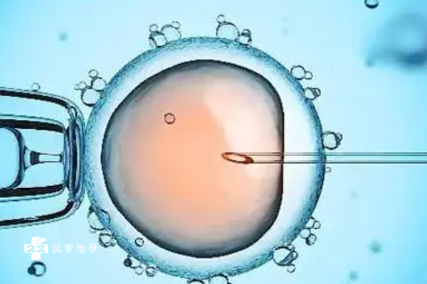 雌二醇水平达到多少才能做试管囊胚移植？