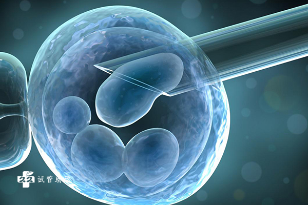 做试管婴儿为什么需要移植两个鲜胚？