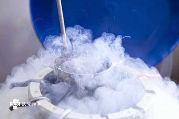 做试管养成囊胚后是否需要冷冻保存？