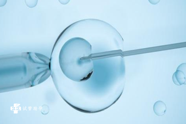 分析做试管多次生化的原因，受精卵缺陷是主要的影响因素