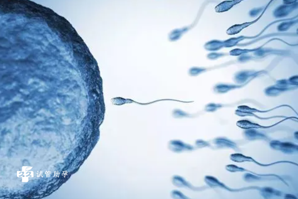 做囊胚移植后会发生生化妊娠吗？